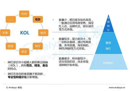 2016年中國互聯網母嬰市場內容營銷專題分析